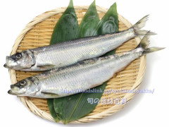 【悲報】ニシンという魚、皆さんも食べたことないと思います