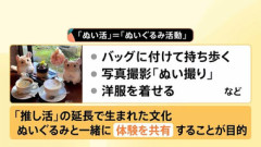 ぬい活←なぜ最近叩かれてるの？