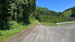 【山形】頭や腕に歯形や深い爪のあと...酒田市の男性遺体はクマによる傷が多数　生きた状態でクマに襲われたか