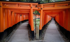 【旅行】「行かなきゃよかった」観光地ランキング！　1位は外国人だらけの“人間地獄”
