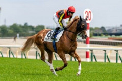 【3歳未勝利】グランマエストロとはなんだったのか