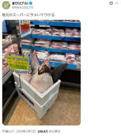 外国人「日本のスーパーでサメが売ってる…なぜ全ての海の生物を平気で消費するの？」