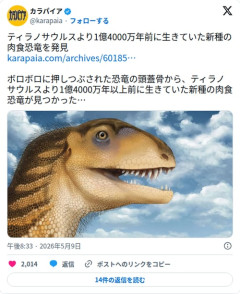 【朗報】新種の肉食恐竜さん、ティラノサウルスより1億4000万年先輩だったことが判明してしまう