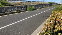 【衝撃】スポーツタイプの自転車が停車中の車に激突してしまった結果・・・・