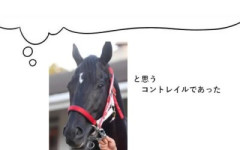 【NHKマイルC】ロデオドライブ＆Dレーン騎手がｷﾀ━━━━(ﾟ∀ﾟ)━━━━!!