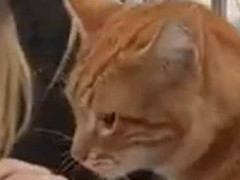 地下鉄の改札で可愛いキャッチに出会った。グイグイくる → 抵抗は無意味です…