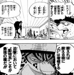 【ワンピース】ルッチ「ゾオン系が最強」←これ