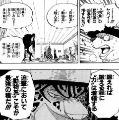 【ワンピース】悪魔の実、「動物系」が最強だった模様ｗｗｗｗ