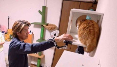 猫は「シャー！」と威嚇もヒロミはタッチを試み…動物番組での“触れ合い企画”に一部視聴者が厳しい意見
