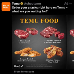 【画像】中華サイト「Temu」で12000円の和牛ステーキセットを買ってみた結果ｗｗｗｗ