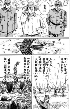 【朗報】スズメさん、クッソ可愛い鳥だったｗｗｗｗｗｗｗｗｗｗ
