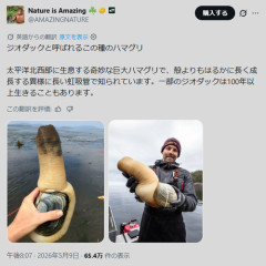 【閲覧注意】ノルウェーで巨大貝発見