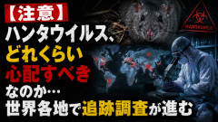 【注意】ハンタウイルス、どれくらい心配すべきなのか…世界各地で追跡調査が進む