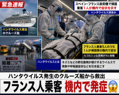 【緊迫】例のクルーズ船から救出されたフランス人、帰国機内でハンタウイルス発症…欧州に緊張走る😨