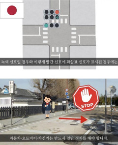 【茨城】信号の違いに戸惑い…韓国客に運転ルール紹介、レンタカー事故防止へ動画制作　水戸市