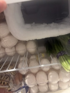 【悲報】ワイの家の冷蔵庫が氷漬けになっとる（※画像あり）
