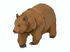 【動画】北海道でバカでい凶暴な熊が撮影されるｗｗｗｗｗｗｗｗｗｗｗｗｗｗｗｗ