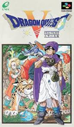 ドラクエ5の面白い縛りプレイ