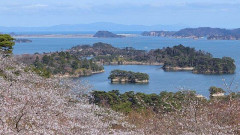 海外「仙台から行った松島が凄かった！」日本で一番良かった日帰り旅行先に対する海外の反応