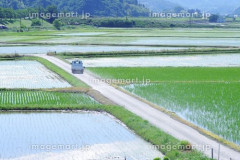 【悲報】バカ「田舎は遊ぶ所がない」ワイ「う、海とか山とか…」