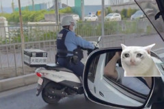警察「ひえっ、あのバイク危険運転やんけ…！」