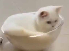彼女がボウルに入って回っていた。いつまでやってんだ！ → 彼はこうした…