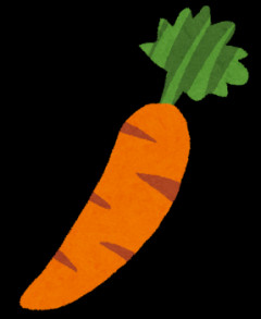 私は人参が嫌いで、母は人参を食べさせようと、色んな料理に入れたんだ。発見次第食べずにいたし、小さかった私は母になんで入れるの？と怒った それでも母はやめなか