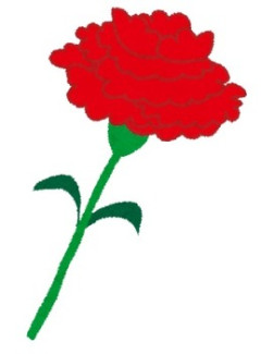 中学の卒業式で、下級生に見送られながら花道を歩いてる時のこと。卒業生には記念品とカーネーション1本が渡されるんだが、俺はなぜか「この花を誰かにあげたい！」と思い