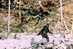米退役軍人、軍事演習中にビッグフット3体を目撃…身長2.7mにもなる毛むくじゃら！