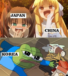 韓国人「お前らの国と歴史が最も似ている国はどこになる？」