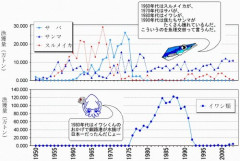 【悲報】日本のお魚さん、オイルショックでしか資源回復できないｗｗｗｗｗｗｗｗｗｗ