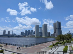 海来た（※画像あり）