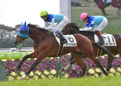 6億円馬アドマイヤビルゴの主な勝鞍
