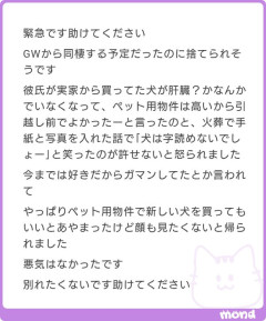 【画像】リアルみいちゃん、彼氏に心無い事ばかり言って捨てられてしまうｗ