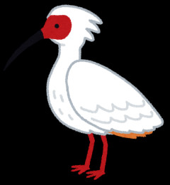 【悲報】ワイ「日本の国鳥は」 お前ら「トキでしょ、知っとるわ！w」 ワイ「で、す、が、」