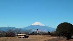 「静岡県」の悪いところって何？