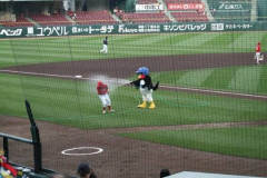 チアダンス中映ってないとすぐサボるドアラ&つば九郎がまだ面白い