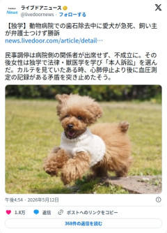 【悲報】愛犬が歯石除去中に急死した飼い主さん、独学で法律と獣医学を学び本人訴訟で勝訴してしまう