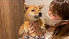 【画像】犬のプクくん、シャンプーを全力拒否した結果シャイニングになってしまう