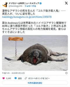 【衝撃】赤ちゃんアザラシ惨殺事件、40年謎だった『コルク抜き殺人鬼』の正体が判明してしまう