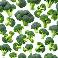 ブロッコリースプラウト。ブロッコリーの20倍の栄養価を持つ食べ物。