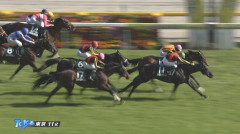 5/9(土) 第43回エプソムカップ(GⅢ) 反省会