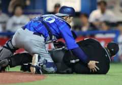 【悲報】川上球審、オスナのバット投げ事故からまもなく一ヶ月が経過するがまだ意識戻らず…