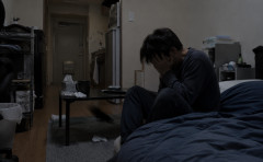 ワイの部屋、ゴキブリがほぼ毎日出てきて終わる
