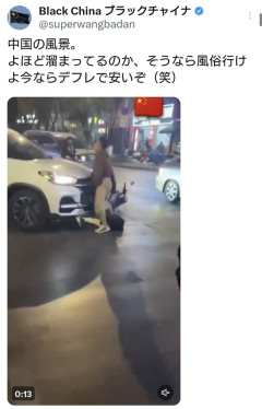 【動画】中国人さん、車とセックスして逮捕