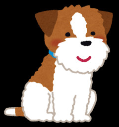 【行方不明の高齢男性を発見！】ジャック・ラッセル・テリアの警察犬カノン君・飼い主の「いくよ」で臨戦態勢に…