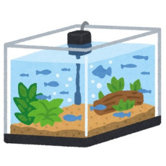 メダカ飼ってるんだが、水槽に変なカタツムリみたいな巻貝が結構発生してる…。