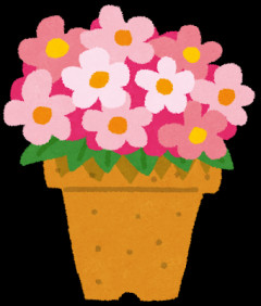 【盗人】おかんが趣味で花作りをしてるんだけど先日山野草の鉢を盗もうとした婆を注意したら開き直られたと心を尖らせてる