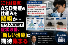 【これは期待】ASD発症の仕組みを解明か…マウス実験で症状改善、「新しい治療」に期待集まる