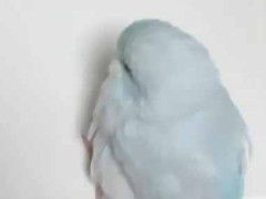 彼女が私の手にくっついてくる。ちょっと距離を取ってみた → こうなります…